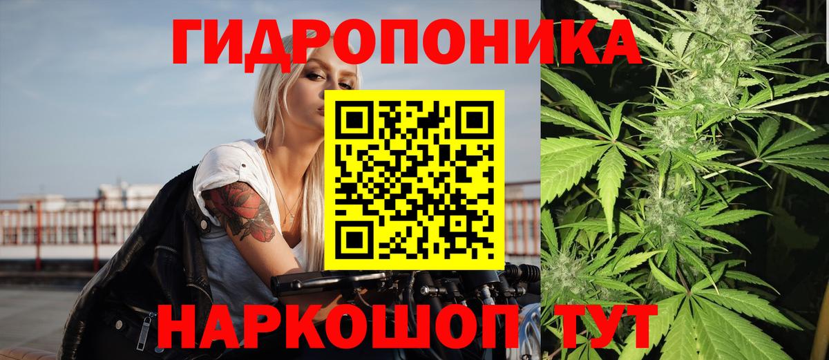 Шишки марихуана семена Волжск